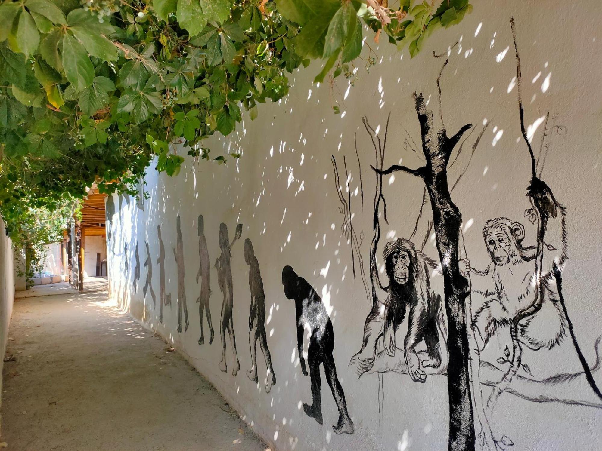 Oludeniz Hostel Экстерьер фото